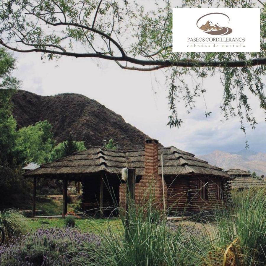 Cabana 17 Potrerillos Mendoza Exterior foto